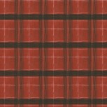 The Plaid One